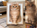 Custom Felted Pet Portrait Framed, Wool Felt Cat Sculpture with Frame, Personalized Pet Memorial