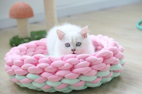Chunky Knit Pet Bed, Arm-Knit Cotton Cat Dog Basket, Washable Cozy Nest