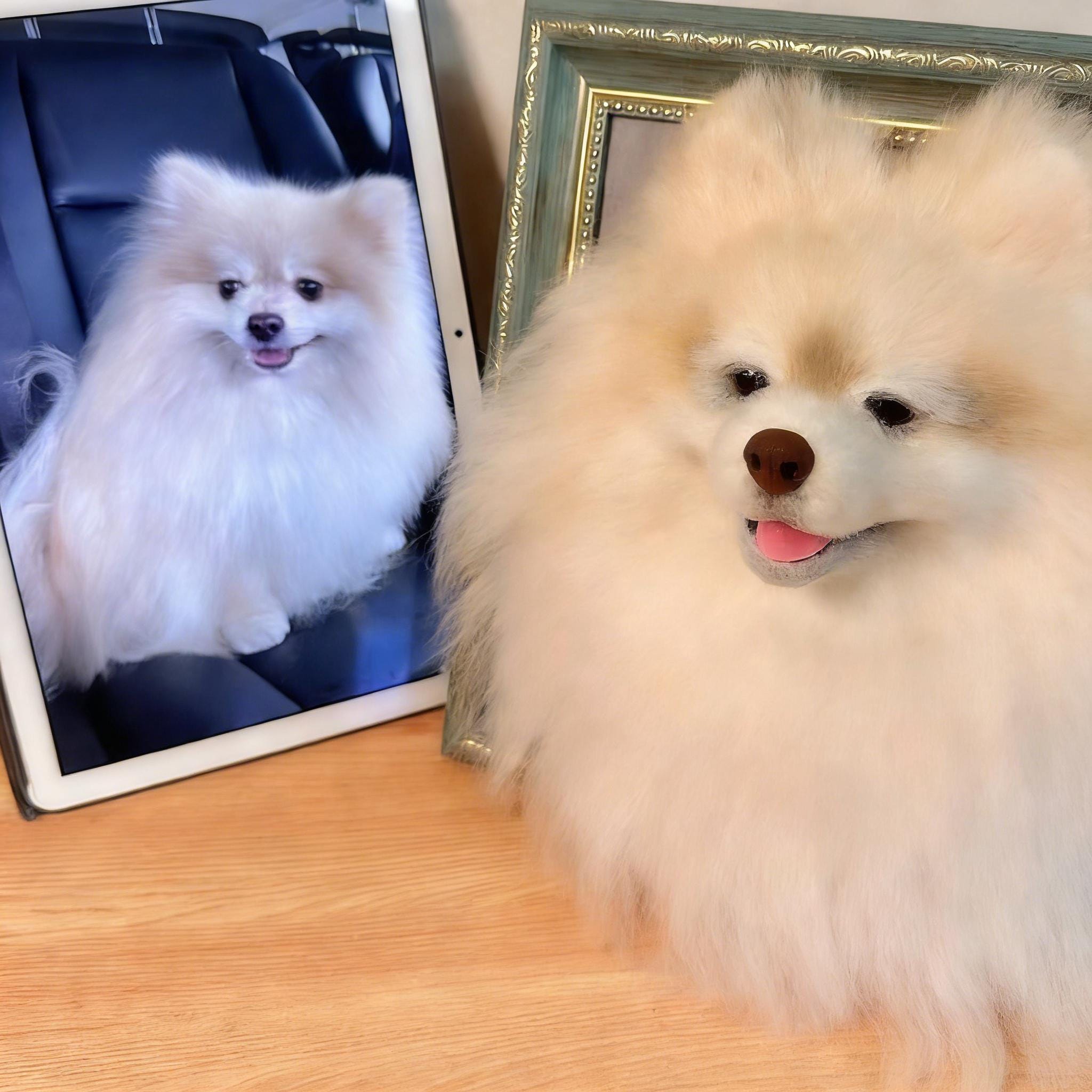 Handmade Wool Felt Pet Portrait | Custom Dog & Cat Memorial Frame