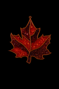 DIY Fall Leaf Crushed Glass Suncatcher 50% off