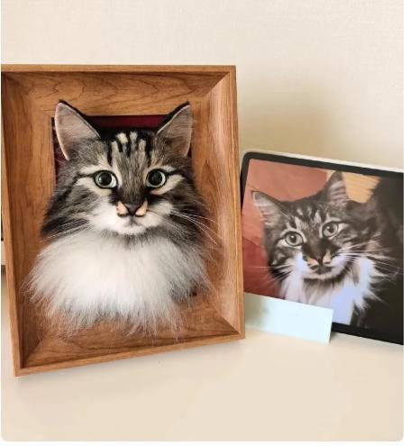 Custom Needle Felted Pet Portrait Frame, Handmade Keepsake Gift