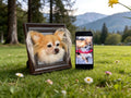 Custom 3D Wool Felt Pet Portrait, Handmade Dog Cat Memorial