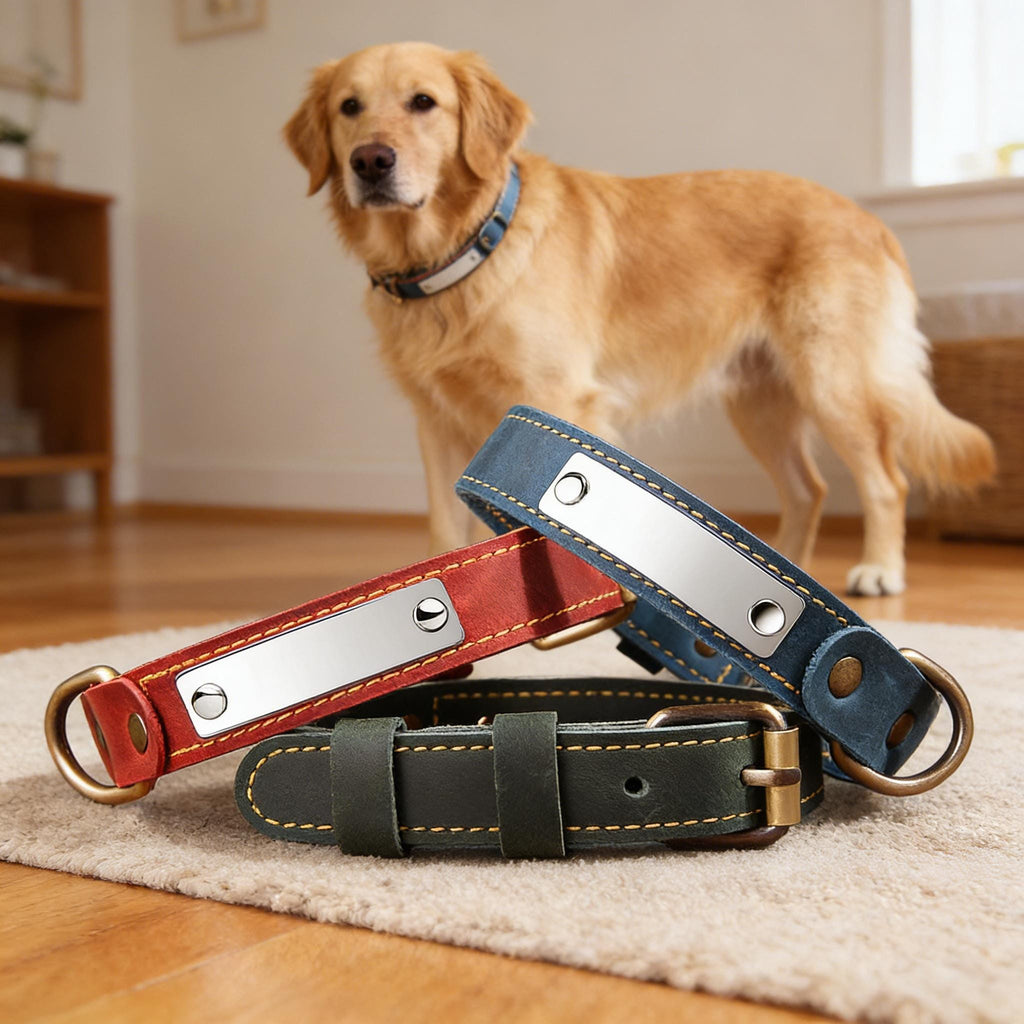 Personalized Leather Dog Collar with Engraved Name Plate – Custom Pet Accessory